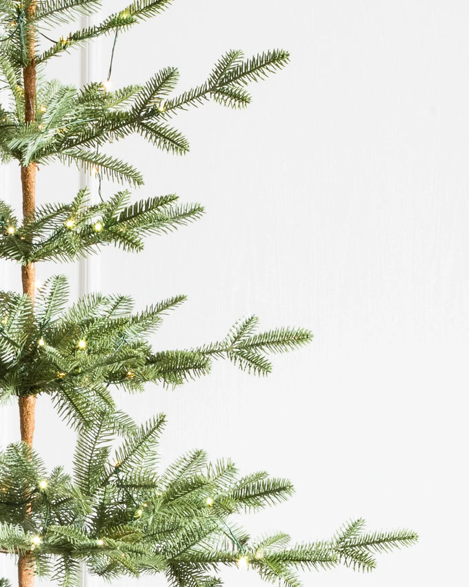 Árvore de Natal Abeto Balsâmico Alpino