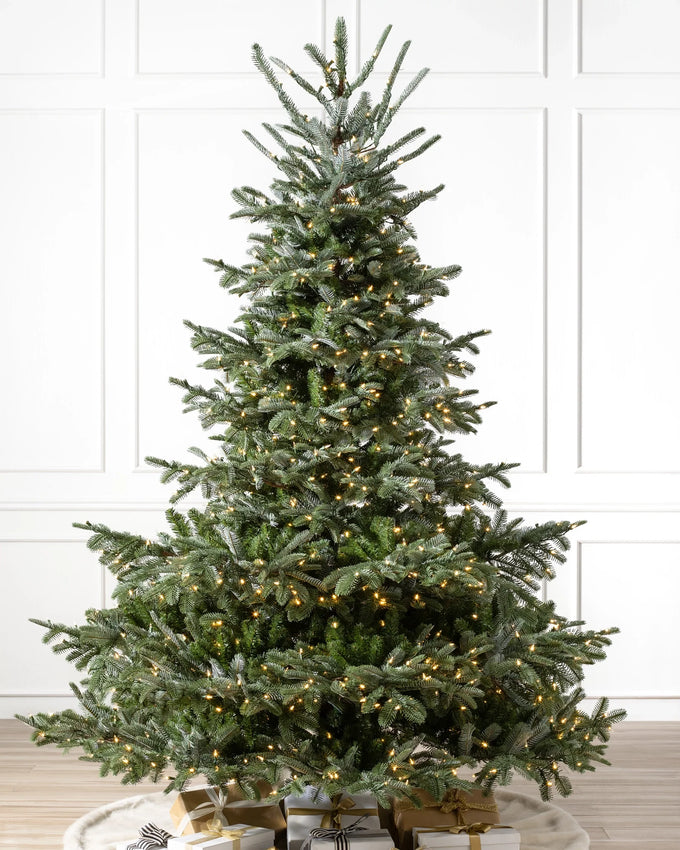 Árvore de Natal Abeto Europeu