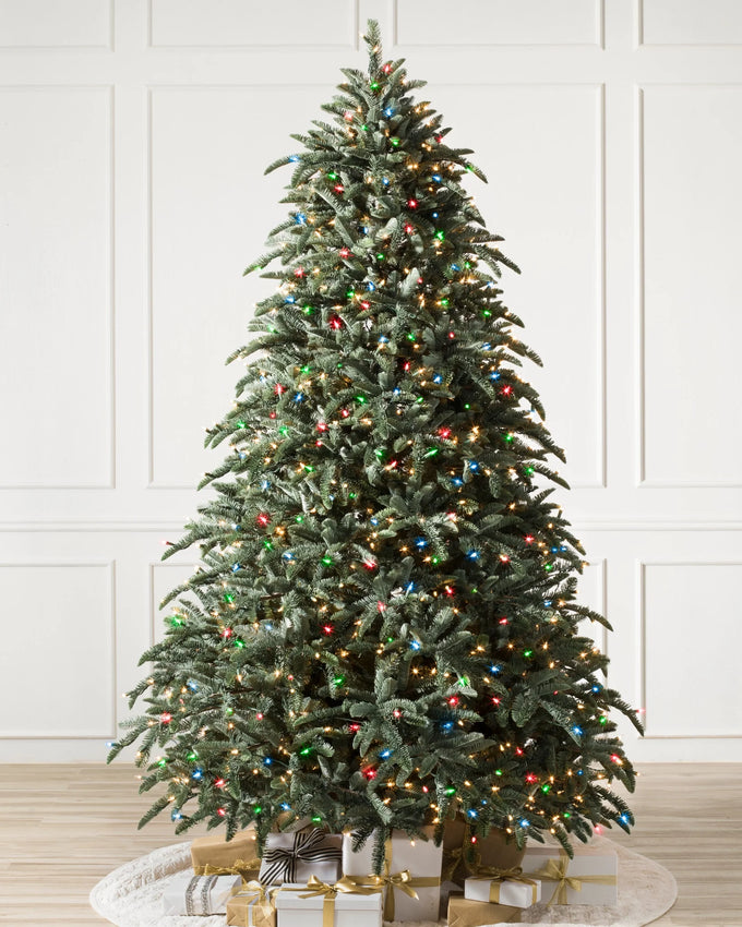 Árvore de Natal Abeto Nobre