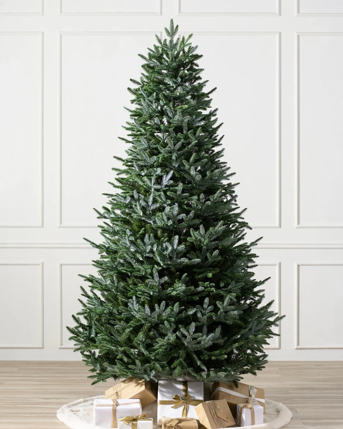 Árvore de Natal Abeto Prateado Europeu